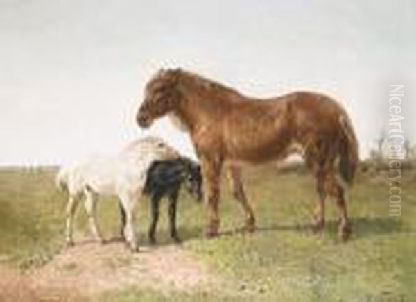 Merry Met Veulens Oil Painting by Henry Schouten