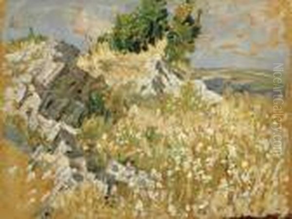 Doublesided Sketch Oil Painting by Dorothea Sharp