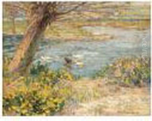 Ducks On A Pond Oil Painting by Dorothea Sharp