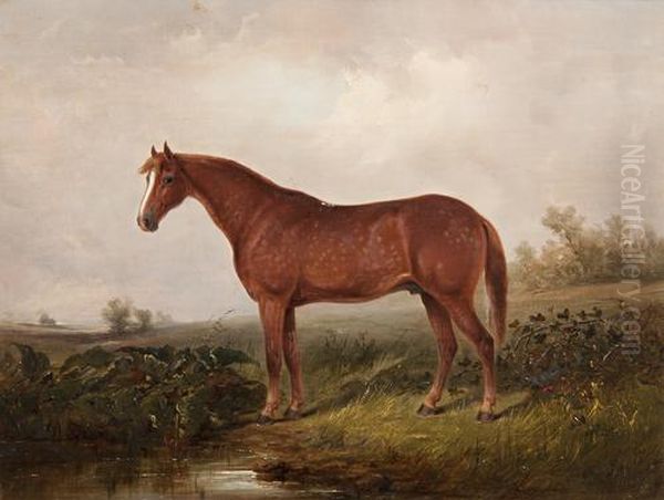 'exmoor' - A Dappled Cob, The Property Of E.a. O'gorman, Standing In A Landscape Oil Painting by Thomas Smythe