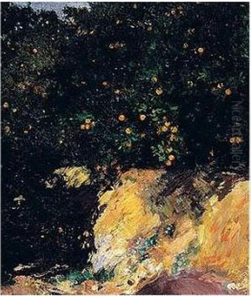 Naranjal De Alcira (orange Grove, Alcira) Oil Painting by Joaquin Sorolla Y Bastida
