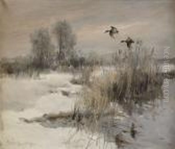 Flygande Ander Over Vassbevuxen Strandkant Oil Painting by Mosse Stoopendaal