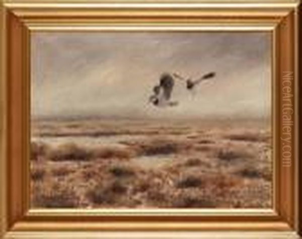 Flygande Faglar Oil Painting by Mosse Stoopendaal