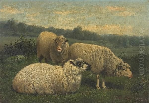 Three Sheep Oil Painting by Arthur Fitzwilliam Tait