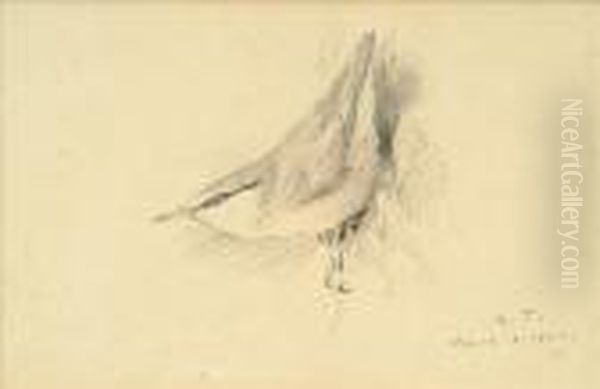 Nuthatch Oil Painting by Archibald Thorburn