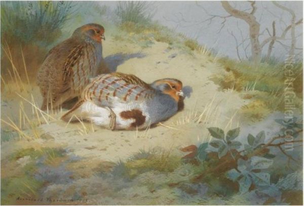 A Pair Of Partridges On A Sandy Bank Oil Painting by Archibald Thorburn