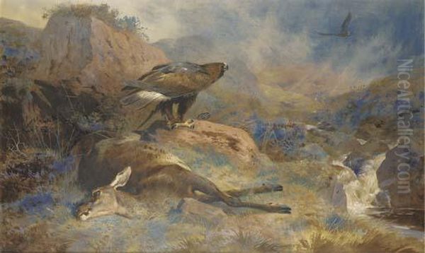 The Lost Hind Oil Painting by Archibald Thorburn