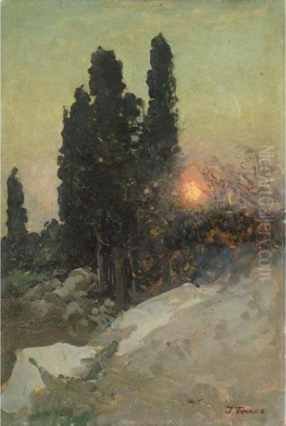 Sunset In The South Oil Painting by Iwan Trusz