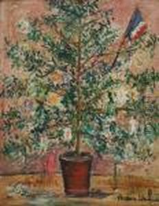 Arbre De Noel