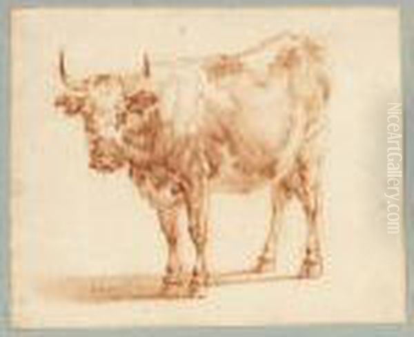 Study Of A Cow Oil Painting by Adrian Van De Velde
