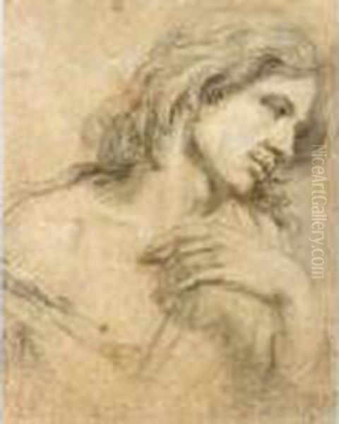 Study Of A Youth, Head And Shoulders Oil Painting by Sir Anthony Van Dyck