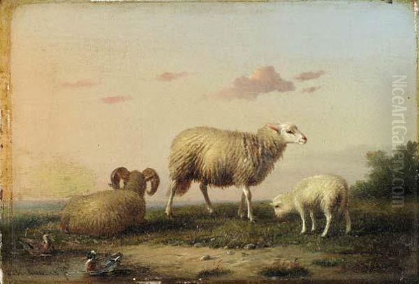 A Family Of Sheep
Oil On Panel Oil Painting by Franz van Severdonck