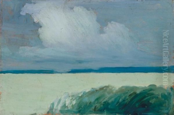 Lake Balaton With Reed-beds, About 1905 Oil Painting by Janos Vaszary
