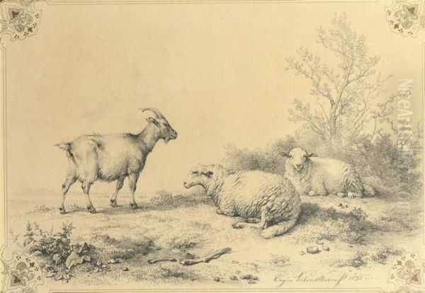 The Meadow Oil Painting by Eugene Joseph Verboeckhoven