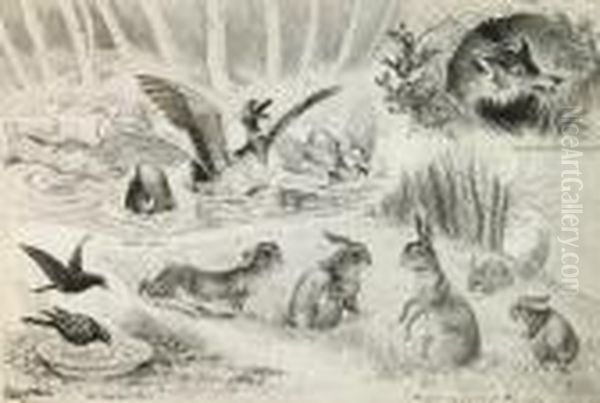Untitled, Animals Cavorting At A Pond Oil Painting by Louis William Wain