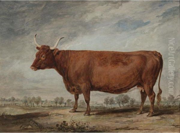 A Devonshire Cow Oil Painting by James Ward