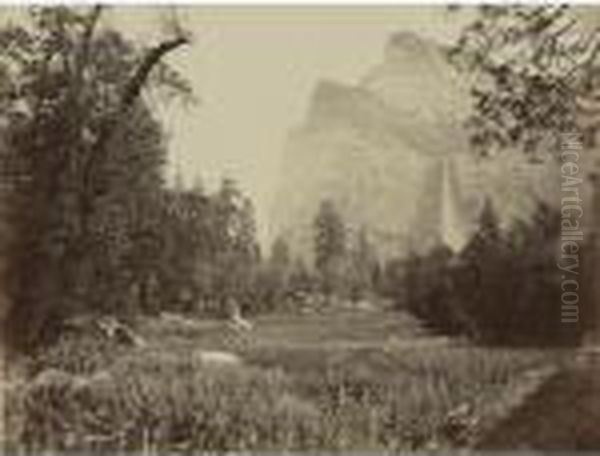 Bridal Veil, From The Black Spring, Yosemite Oil Painting by Carleton E. Watkins