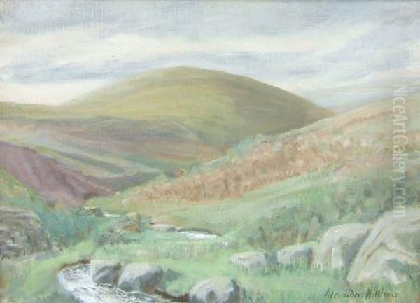 Irish Country Landscape Oil Painting by Alexander Williams