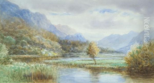 Salmon Pool From The Bridge Kylemore Connemara Oil Painting by Alexander Williams