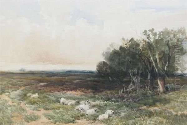 Across The Heath Oil Painting by Edmund Morison Wimperis