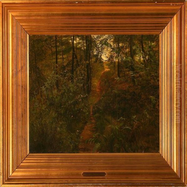 Forest Scene Oil Painting by Christian Zacho