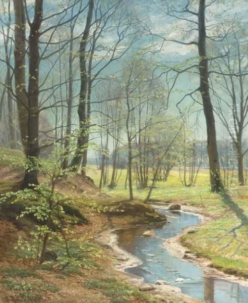 A Stream In The Woods Oil Painting by Christian Zacho
