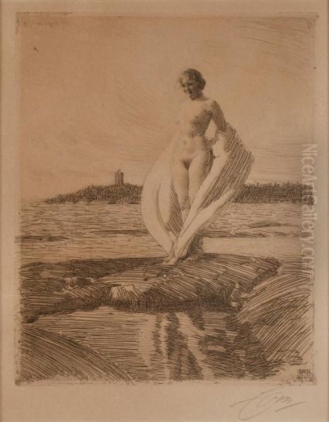 The Swan' Oil Painting by Anders Zorn