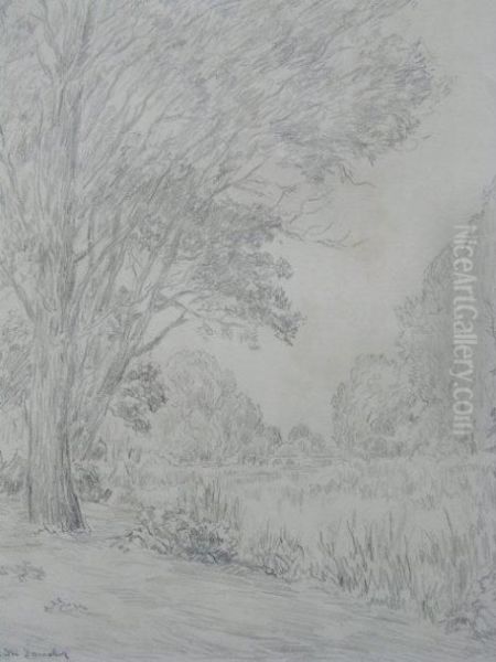 Bord De Riviere Oil Painting by Andre Dauchez