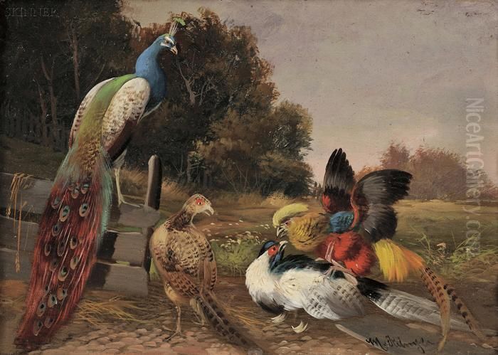 Still Life With Peacock And Pheasants Oil Painting by Max I Hanger