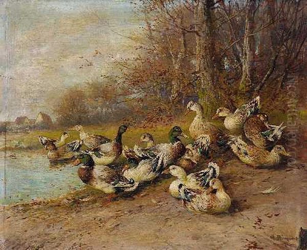 Enten Am Teich Oil Painting by Max I Hanger