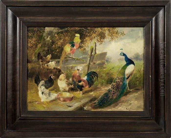 Huhnerschar Mitgoldfasan Und Pfauhahn Oil Painting by Max I Hanger