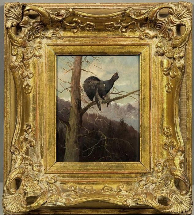 Balzender Auerhahn Imherbstlichen Alpenwald Oil Painting by Max I Hanger