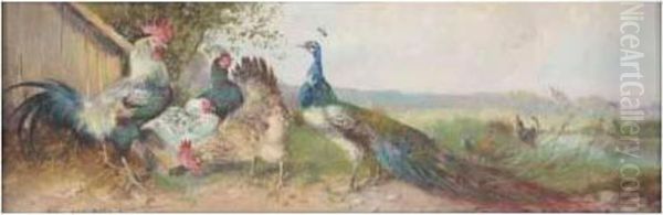 Peacock And Chickens Oil Painting by Max I Hanger