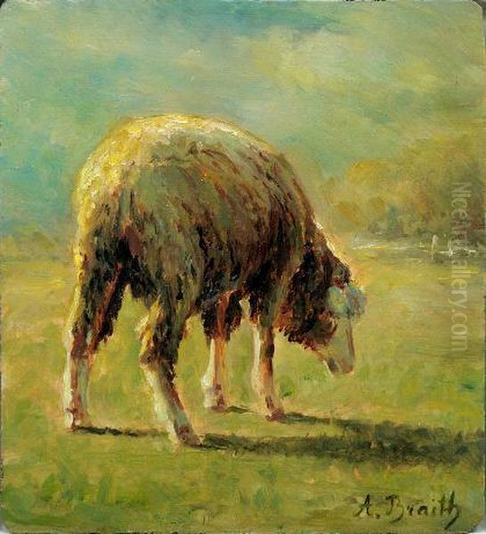 Grasendes Schaf Oil Painting by Anton Braith