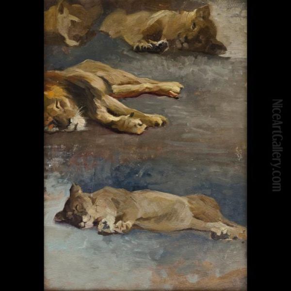 Leoni A Riposo Oil Painting by Alcide Davide Campestrini