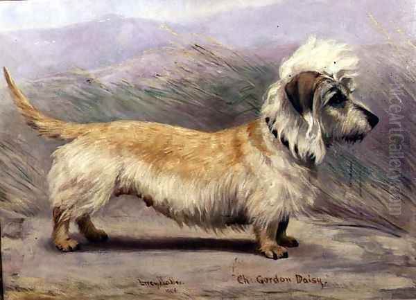 Portrait of Champion Gordon Daisy, 190 Oil Painting by Lucy Waller