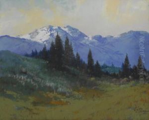 In The Siskiyou Mountains, Oregon