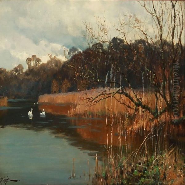 Swans On A Forest Lake Oil Painting by Arthur Walker Redgate