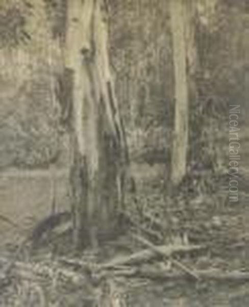 Autumn In The Bush Oil Painting by Pegg Clarke