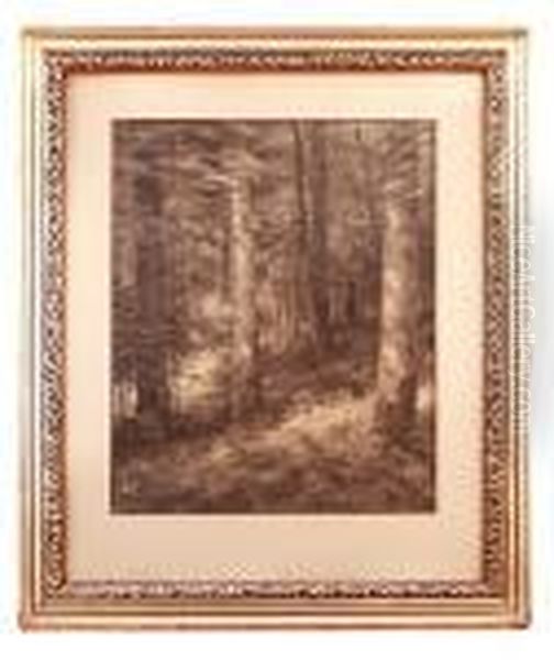 Forest Interior Oil Painting by Frantisek Danek-Sedlacek