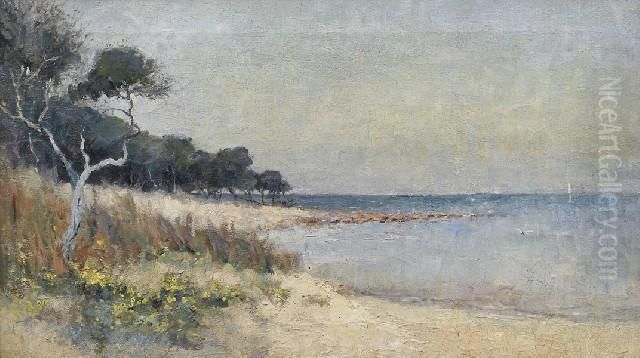 Ricketts Point, Near Sandringham Oil Painting by Jessie Benton Evans