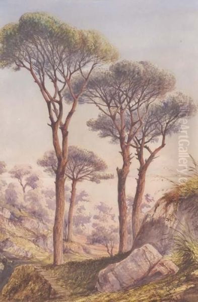 Alberi A Sorrento Oil Painting by Gabriele Carelli