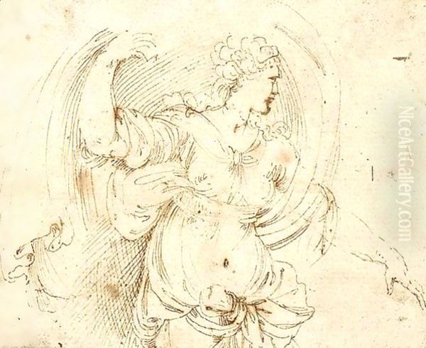 A draped female figure Oil Painting by Girolamo da Carpi