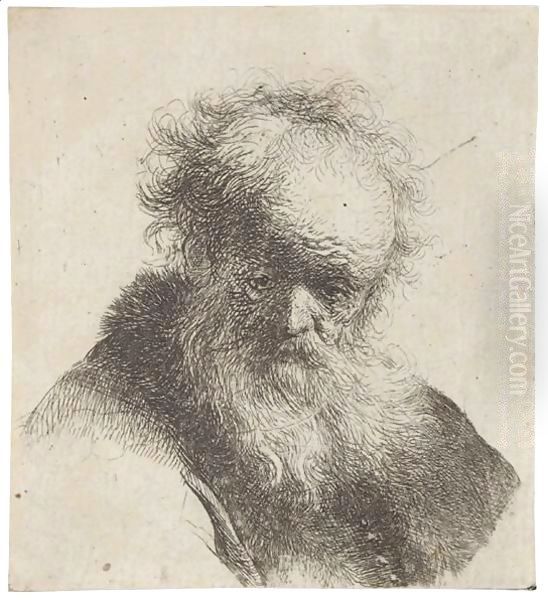 Bust Of An Old Man With Flowing Beard And White Sleeve Oil Painting by Rembrandt Van Rijn