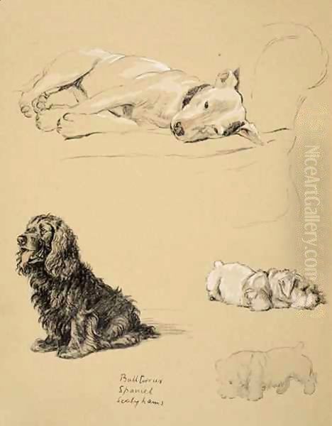 Bull-Terrier, Spaniel and Sealyhams Oil Painting by Cecil Charles Aldin