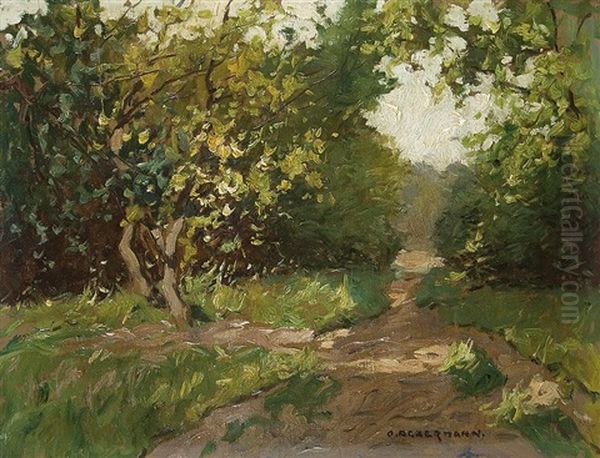 Sunlit Path Through A Bank Oil Painting by Otto Ackermann