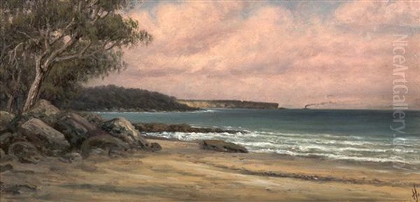 Steamer Off The Coast Oil Painting by Albert Edward Aldis