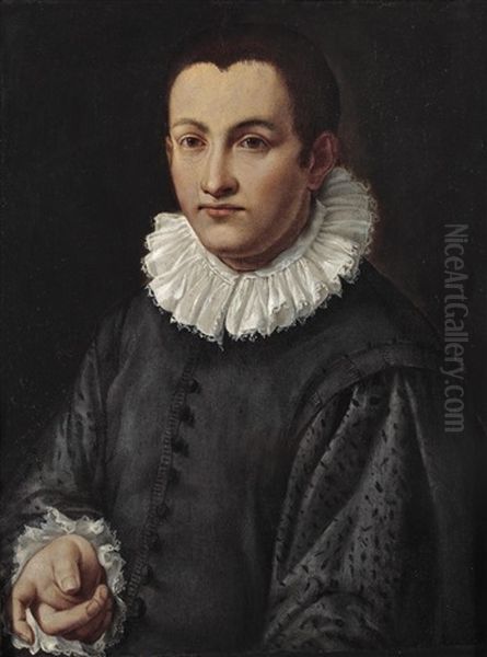 Bildnis Eines Jungen Mannes Oil Painting by Alessandro di Cristofano Allori