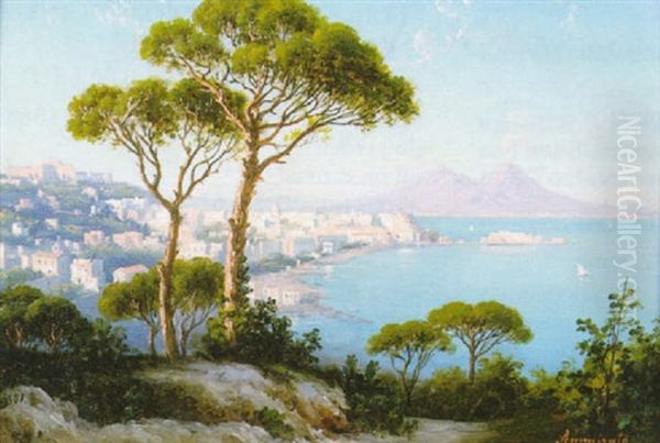 The Bay Of Naples Looking Towards Mount Vesuvius Oil Painting by Domenico Ammirato