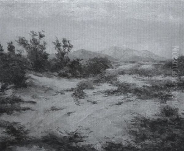 Desert Landscape With Purple Mountains And Flowering Grass Oil Painting by Arthur Chance Amos